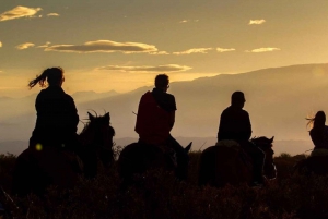 Passeio a cavalo ao pôr do sol e jantar em Mendoza