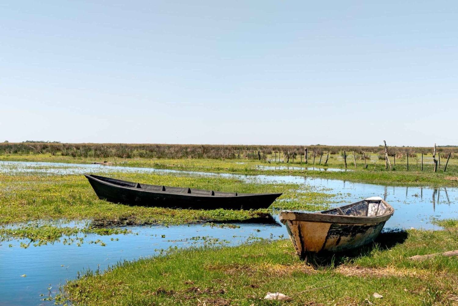 Ratsastusretki Esteros del Iberán kansallispuistossa – Argentiina
