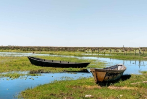 Ratsastusretki Esteros del Iberán kansallispuistossa – Argentiina