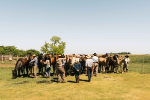 Ratsastusretki Esteros del Iberán kansallispuistossa – Argentiina