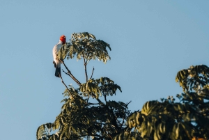 Ratsastusretki Esteros del Iberán kansallispuistossa – Argentiina