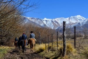 Cabalgata en la Cordillera de los Andes