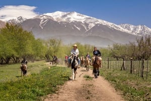 Cabalgata en la Cordillera de los Andes