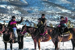 Horseback riding tour in Bariloche