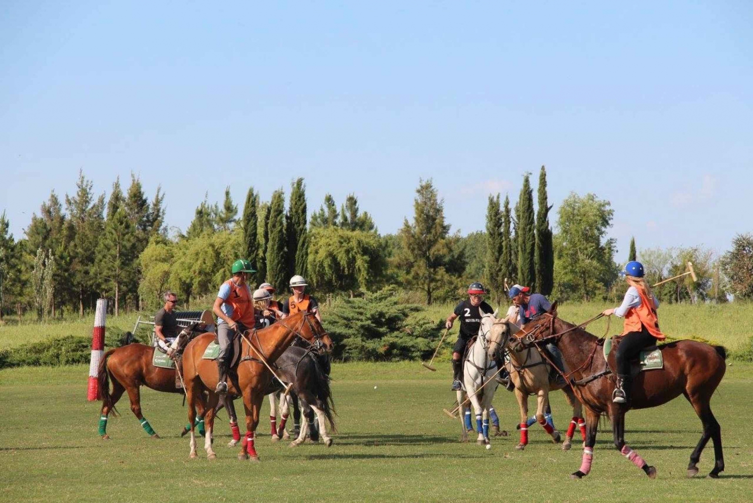 Buenos Aires: Horseback Riding and Polo Tour with Lunch