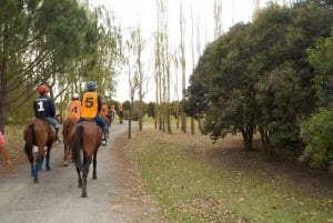 Buenos Aires: Horseback Riding and Polo Tour with Lunch