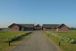 Horses, Asado & Nature. A day at a thoroughbred farm