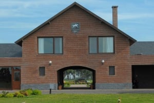 Pferde, Asado & Natur. Ein Tag auf einer Vollblutfarm