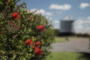 Pferde, Asado & Natur. Ein Tag auf einer Vollblutfarm