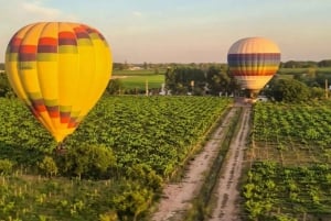 Heißluftballonfahrt über die Weinberge von Mendoza und Weintrinken