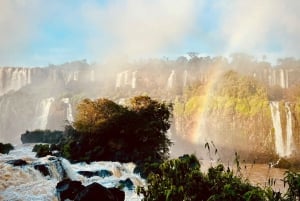 Tour privato delle cascate di Iguaçu Brasile e Argentina