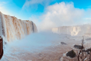 Privat omvisning i Iguaçu-fossene - Brasil og Argentina