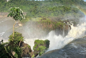 Iguaçun vesiputoukset Yksityinen kierros Brasilian ja Argentiinan puolella