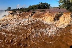 Visite privée des chutes d'Iguaçu côté brésilien et argentin