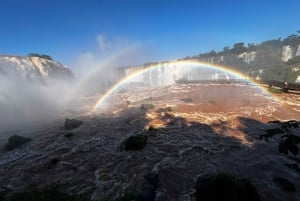 Visite privée des chutes d'Iguaçu côté brésilien et argentin