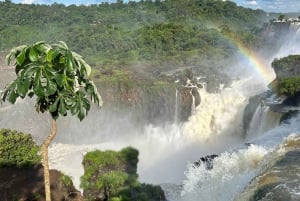 Visite privée des chutes d'Iguaçu côté brésilien et argentin