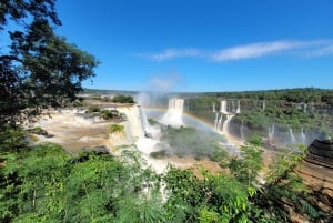 Iguaçu-vattenfallen Privat tur Brasilien och Argentinska sidan