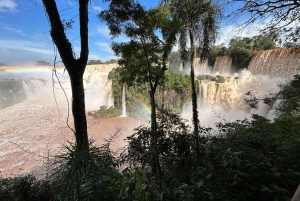 Visite privée des chutes d'Iguaçu côté brésilien et argentin