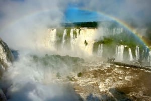 Iguaçu-vattenfallen Privat tur Brasilien och Argentinska sidan