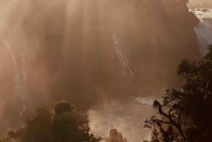 Iguaçu-vandfaldene Privat tur Brasilien og den argentinske side