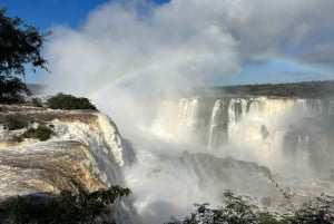 Iguaçu-vattenfallen Privat tur Brasilien och Argentinska sidan