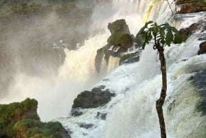 Visite privée des chutes d'Iguaçu côté brésilien et argentin