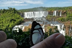 Tour privado de 1-2 días: explora ambos lados de las cataratas del Iguazú