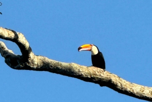 Tour privado de 2 días Brasil y Argentina Cataratas del Iguazú