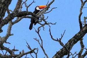 Tour privado de 2 días Brasil y Argentina Cataratas del Iguazú