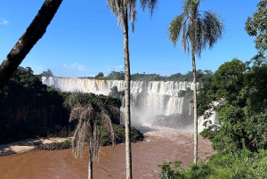 2-dagers privat omvisning Brasil & Argentina Iguassu Falls