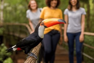 Iguassu Falls: Brazilian Side, Bird Park & Helicopter Tour