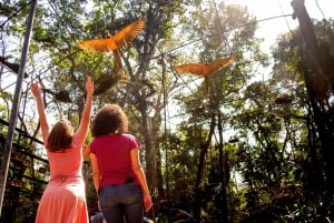 Iguassu Falls: Brazilian Side, Bird Park & Helicopter Tour