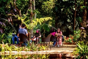 Iguassu Falls: Brazilian Side, Bird Park & Helicopter Tour