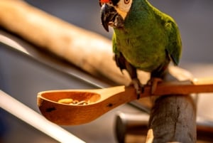 Iguassu Falls: Brazilian Side, Bird Park & Helicopter Tour