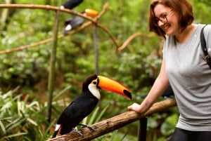 Iguassu Falls: Brazilian Side, Bird Park & Helicopter Tour