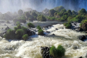 Iguassu watervallen: Braziliaanse kant, vogelpark & helikoptervlucht