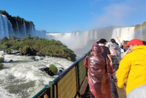 Iguassu watervallen: Braziliaanse kant, vogelpark & helikoptervlucht