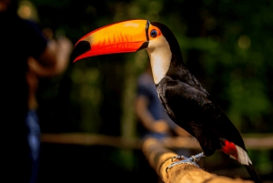 Iguassu watervallen: Braziliaanse kant, vogelpark & helikoptervlucht