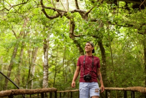 Iguassu watervallen: Braziliaanse kant, vogelpark & helikoptervlucht