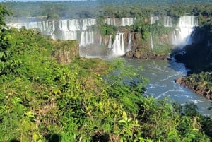 Iguassu Falls: Brazilian Side Private Tour