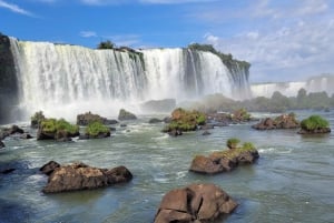 Iguassu Falls: Brazilian Side Private Tour