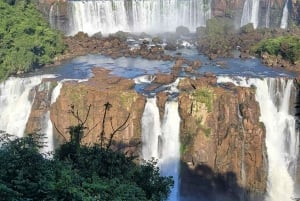 Iguassu Falls: Brazilian Side Private Tour