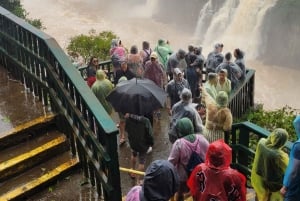 Iguassu Falls: Privat omvisning på brasiliansk side