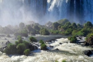 Iguassu Falls: Privat omvisning på brasiliansk side