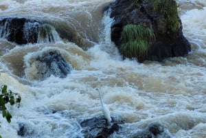 Iguassu Falls: Brasilianska sidan Privat tur