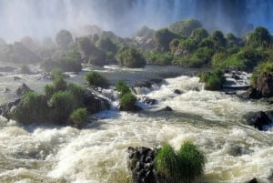 Iguassu Falls: Brazilian Side Private Tour