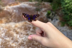 Iguassu Falls from the Argentinean side: a walking tour