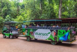 Iguassu-watervallen: rondleiding en Macuco-safari op pontonboten