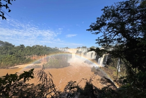 Водопад Игуасу: частный тур по Аргентине