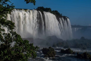 Cascate di Iguassu: tour di 1 giorno sui lati brasiliano e argentino